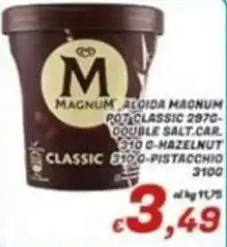 Idromarket Magnum classic offerta
