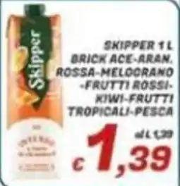 Idromarket Skipper brick ace-aran. rossa-melograno-frutti rossi-kiwi-frutti tropicali-pesca offerta