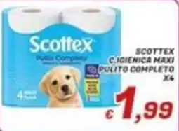 Idromarket Scottex Pulito Completo offerta