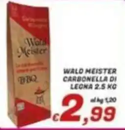 Idromarket Wald Meister carbonella di legna offerta