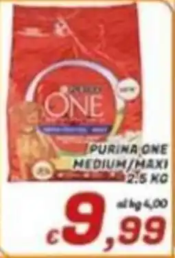 Idromarket Purina One Medium/Maxi offerta