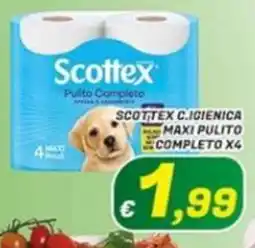 Idromarket Scottex Pulito Completo offerta