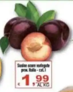 CTS Supermercati Susine nere vongole offerta