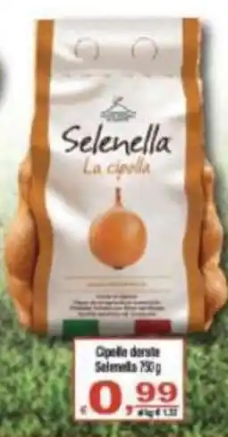 CTS Supermercati Cipolle dorate Selenella offerta