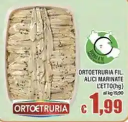 Top Supermercati Alici marinate Ortoetruria offerta