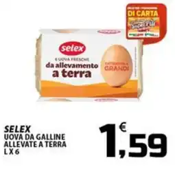 SpesaPiù Supermercati Selex uova da galline allevate a terra offerta