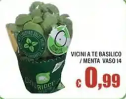 Top Supermercati Basilico / Menta Vaso 14 offerta