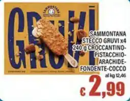 Top Supermercati Sammontana Stecco Gruvi offerta