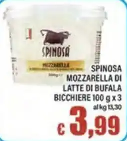 Top Supermercati Spinosa Mozzarella di latte di bufala offerta