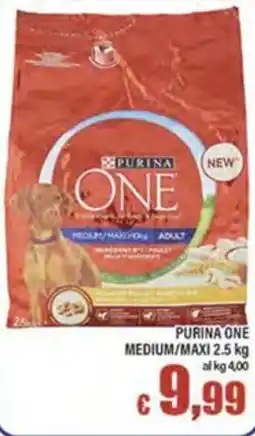 Top Supermercati Purina One Medium/Maxi Adult offerta