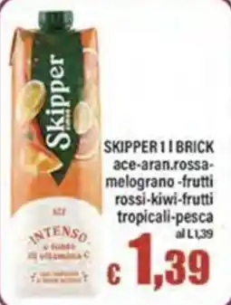 Top Supermercati Skipper 1 I Brick offerta