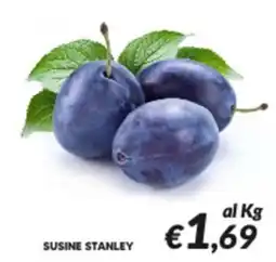 Supermercati Visotto Susine Stanley offerta
