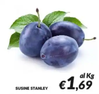 Susine Stanley