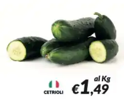 Supermercati Visotto Cetrioli offerta