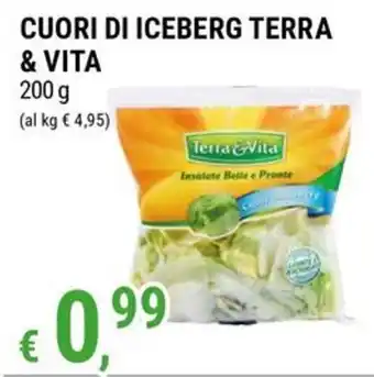 Cuori di iceberg Terra & Vita