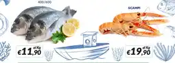 Supermercati Visotto Scampi offerta