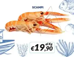 Supermercati Visotto Scampi offerta