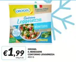 Supermercati Visotto Orogel il benessere contorno leggerezza offerta