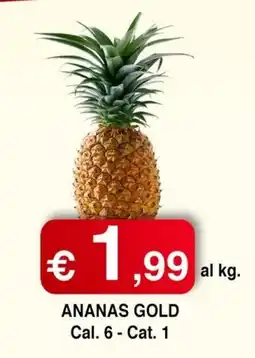 Orsini Market Ananas Gold offerta