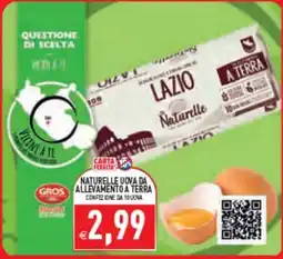 Supermercati Agorà Naturelle uova da allevamento a terra offerta