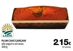 Superconti Plum cake Gargani offerta