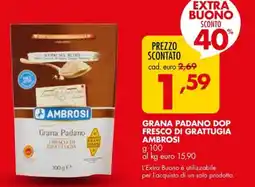 Italmark Grana Padano DOP Fresco di Grattugia Ambrosi offerta