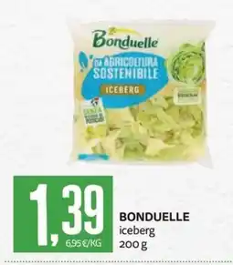 PRO7 Supermercati Bonduelle iceberg offerta