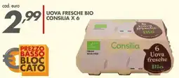 Italmark Uova fresche bio Consilia offerta