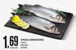 PRO7 Supermercati Spigola (branzino) offerta