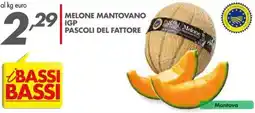 Italmark Melone mantovano IGP Pascoli del fattore offerta