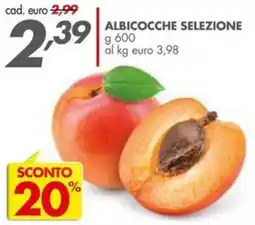 Italmark Albicocche Selezione offerta