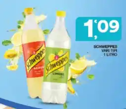 Sisa Schweppes vari tipi offerta