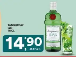 Sisa Tanqueray gin offerta