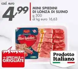 Italmark Mini Spiedini di lonza di suino offerta