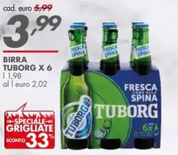 Italmark Birra Tuborg offerta