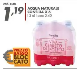 Italmark Acqua naturale Consilia offerta