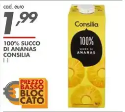 Italmark 100% succo di ananas Consilia offerta