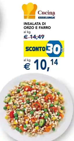 Esselunga Cucina insalata di orzo e farro offerta