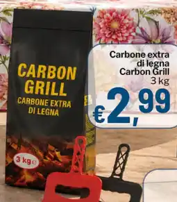 Qui Discount Carbone extra di legna Carbon Grill offerta
