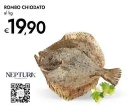 Bennet Rombo chiodato Neptura offerta