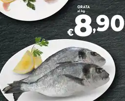 Bennet Orata offerta