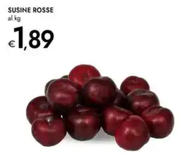 Bennet Susine rosse offerta
