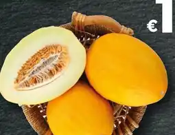 Bennet Melone offerta