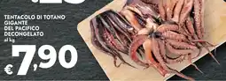 Bennet Tentacolo di totano gigante del pacifico decongelato offerta