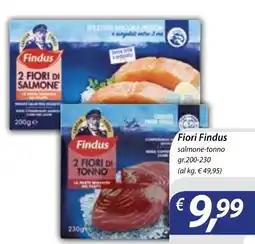 Iper Romagnolo Fiori Findus salmone-tonno offerta
