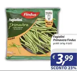 Iper Romagnolo Fagiolini Primavera Findus offerta