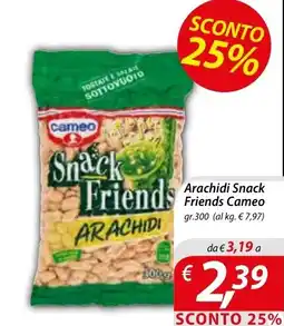 Iper Romagnolo Arachidi Snack Friends Cameo offerta