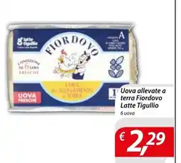 Iper Romagnolo Uova allevate a terra Fiordovo Latte Tigullio offerta