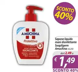 Iper Romagnolo Sapone liquido mani disinfettante SoapXgerm Amuchina offerta