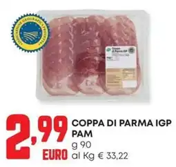 Panorama Coppa di Parma IGP PAM offerta